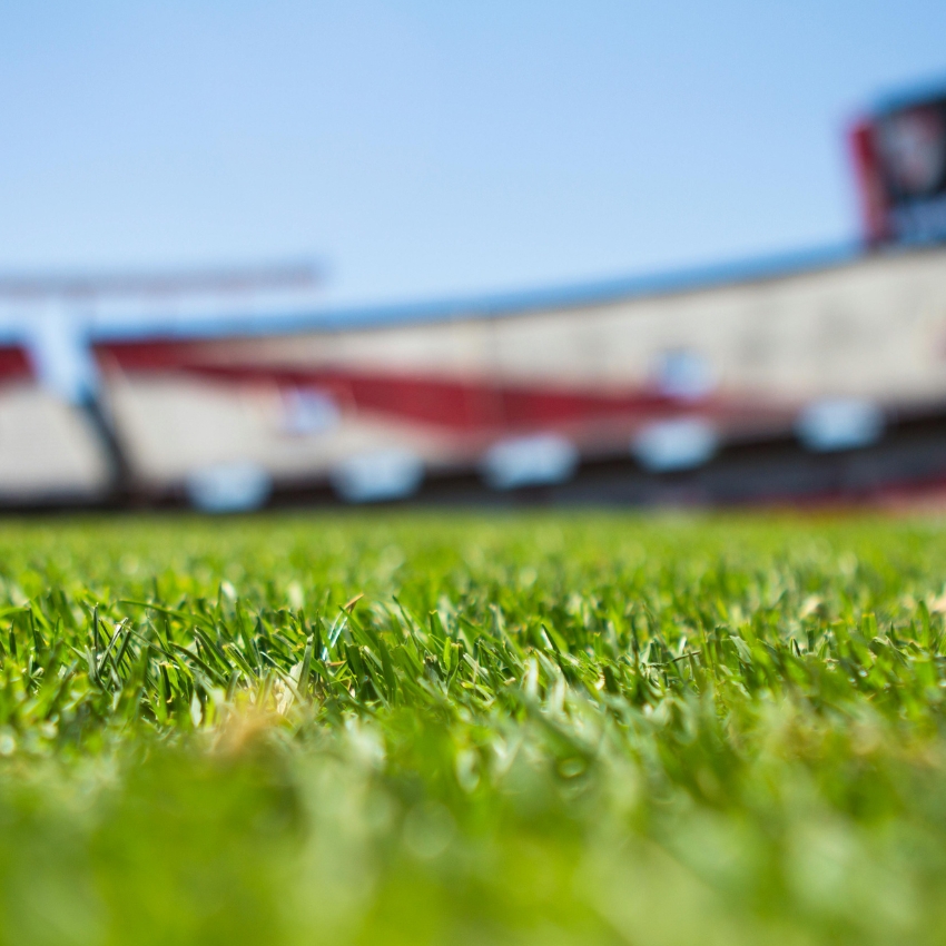 Close-up view of freshly cut green grass on a sports field with an out-of-focus stadium in the background.