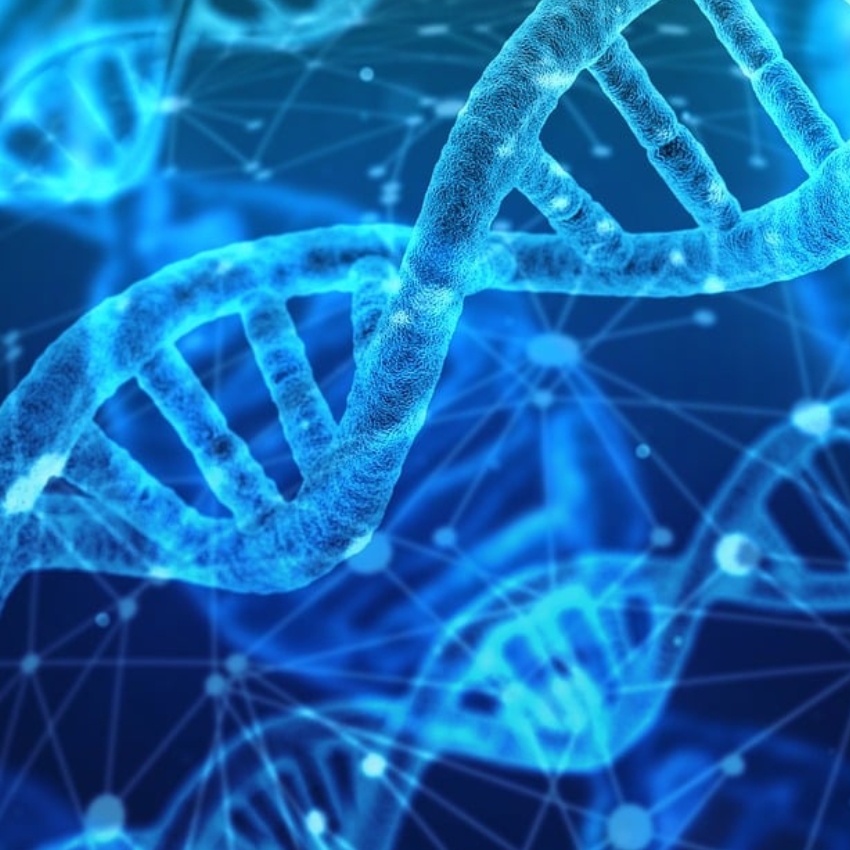 Close-up of blue DNA double helix with connecting nodes against a dark blue background.